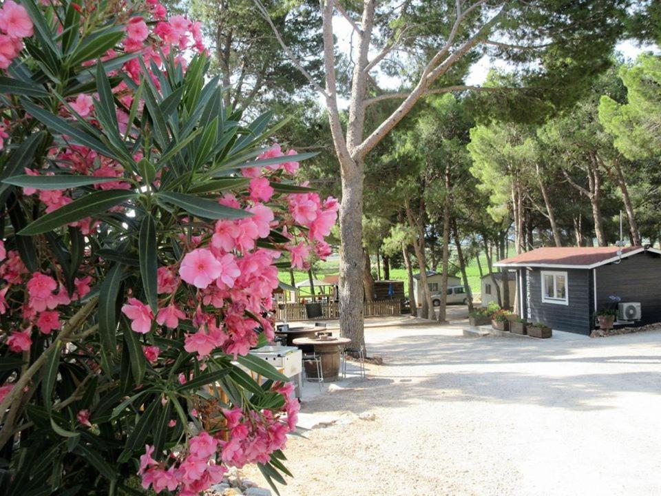 Camping Le Bois De Pins Salses-le-Chateau Ngoại thất bức ảnh